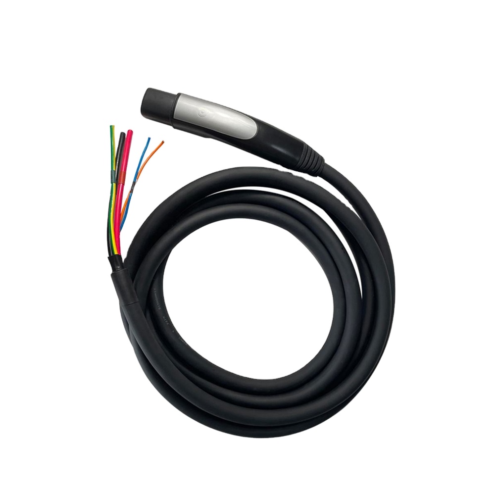 Cavo di ricarica per veicoli e - Ev Charging Cable recensione e prezzo